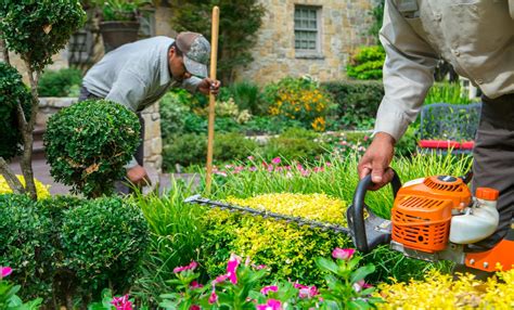 Landscaping work. Things To Know About Landscaping work. 